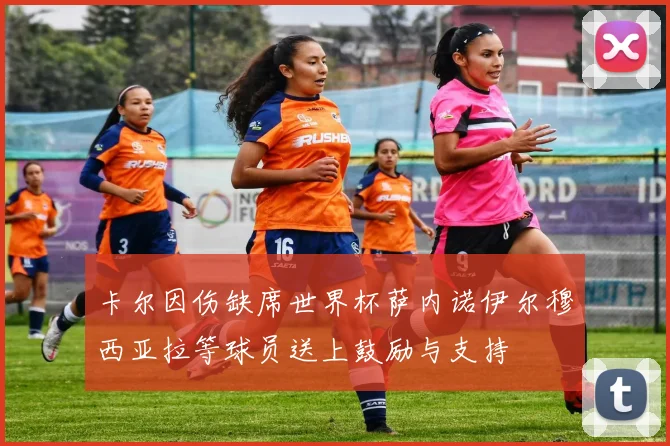 卡尔因伤缺席世界杯萨内诺伊尔穆西亚拉等球员送上鼓励与支持