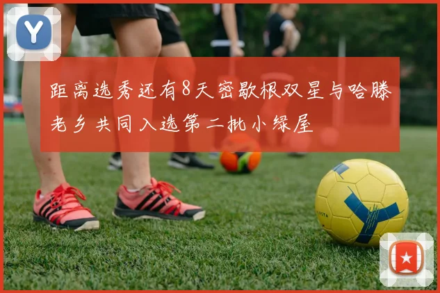 距离选秀还有8天密歇根双星与哈滕老乡共同入选第二批小绿屋